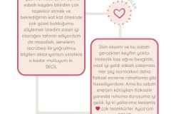 Post para Instagram Rebajas San Valentín Femenino Rosa - 5